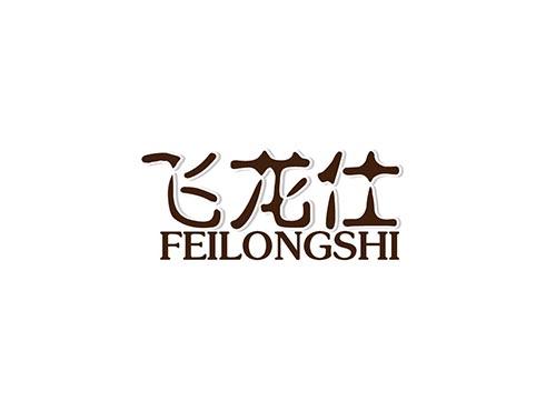 飞龙仕FEILONGSHI