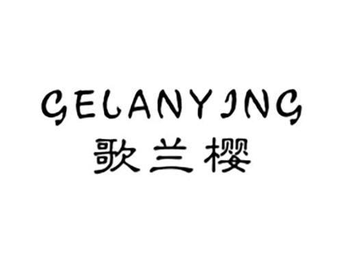 弗驰特