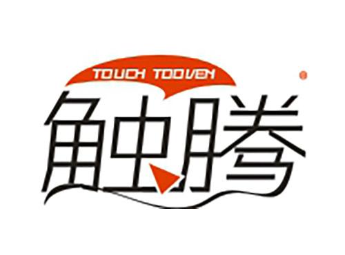 触腾TOUCHTOOVEN