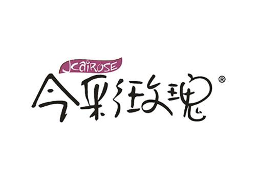 今彩玫瑰JCAIROSE
