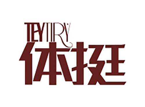 体挺TEYTIRY