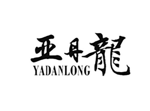 亚丹龙YADANLONG