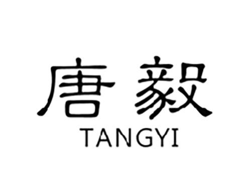 唐毅TANGYI