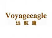 远航鹰