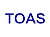 TOAS（18 25类同名）