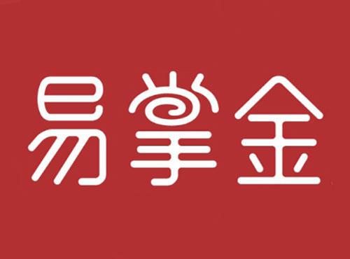 易掌金