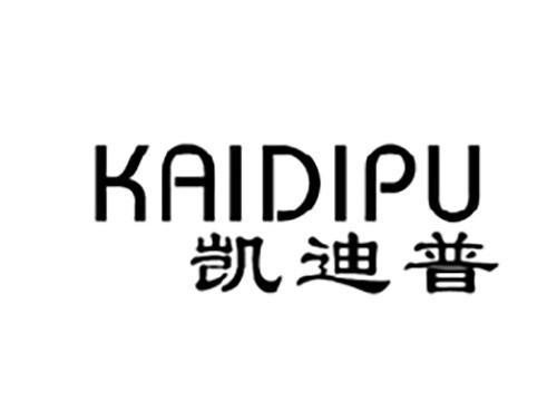凯迪普KAIDIPU