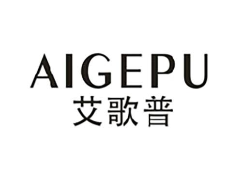 艾歌普;AIGEPU