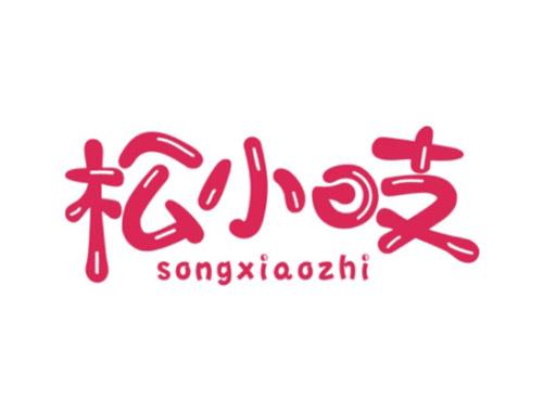 松小吱songxiaozhi