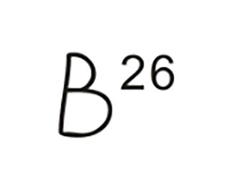B26