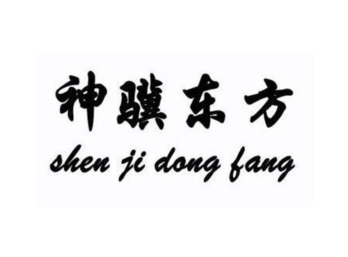 神骥东方SHENJIDONGFANG