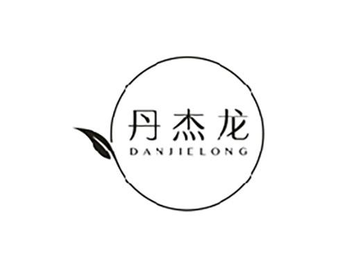 丹杰龙;DANJIELONG