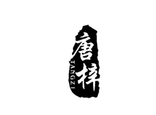 唐梓TANGZI
