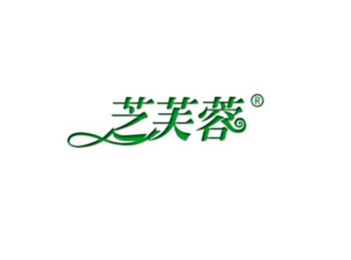 芝芙蓉