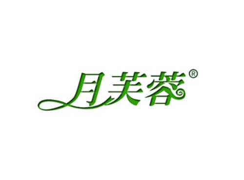 月芙蓉