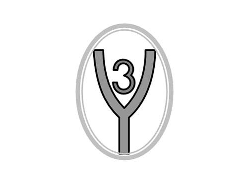Y3