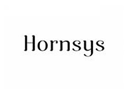 HORNSYS