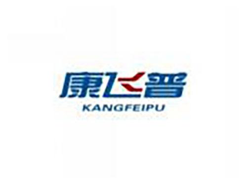 康飞普kangfeipu