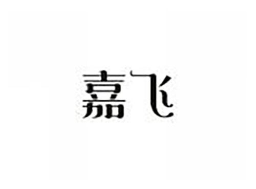 嘉飞