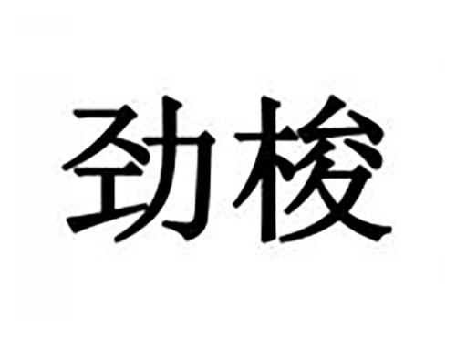 劲梭