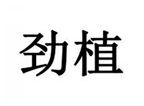 劲植