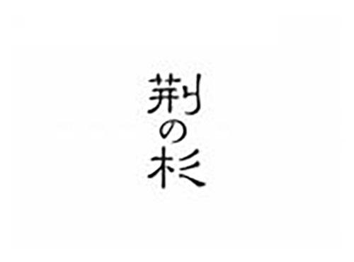 荆杉