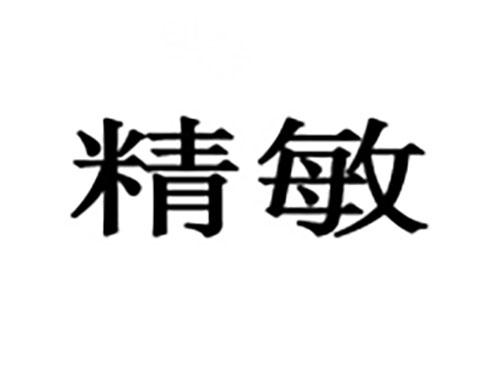 精敏