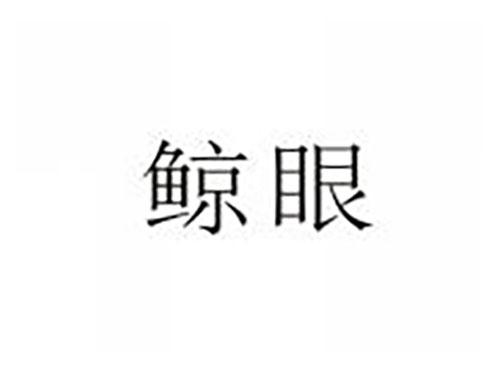 鲸眼