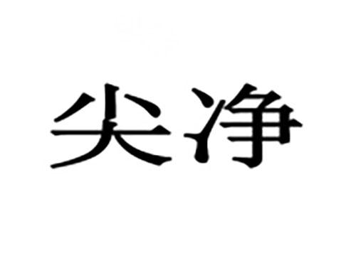 尖净