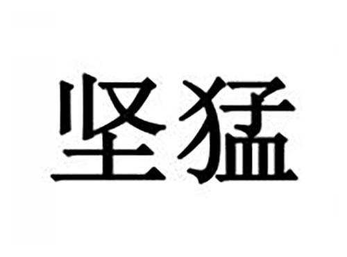坚猛