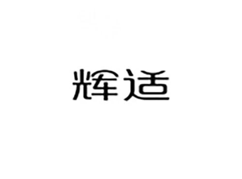 辉适