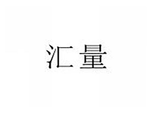 汇量