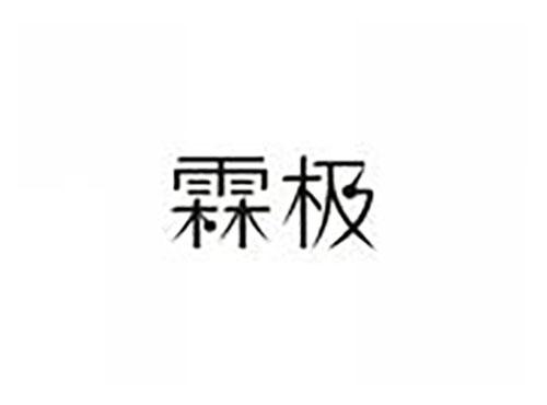 霖极