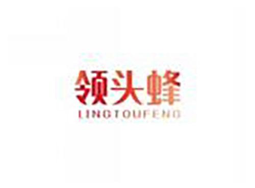 领头蜂LINGTOUFENG