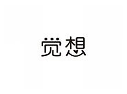 觉想