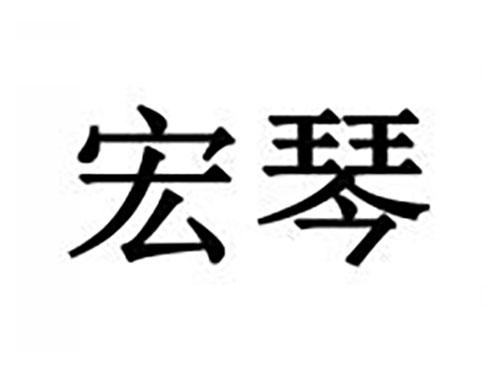 宏琴