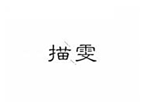 描雯