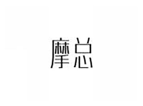摩总