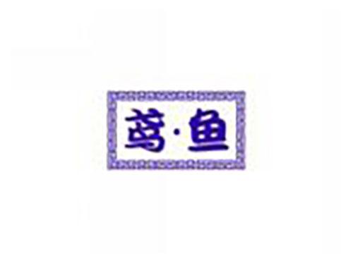 鸢鱼
