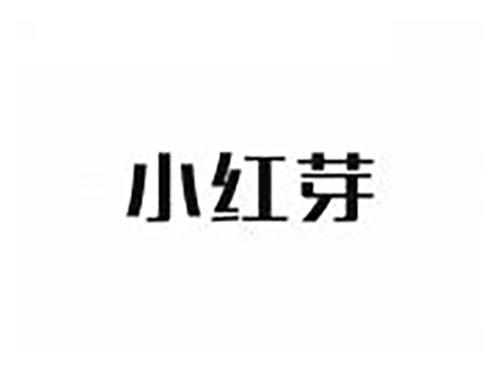 小红芽