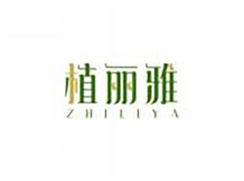 植丽雅ZHILIYA