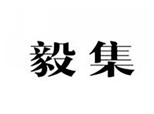 毅集