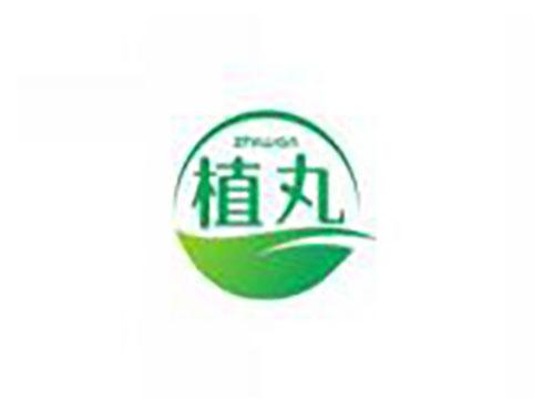 植丸zhiwan