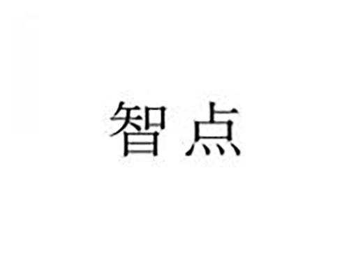 智点