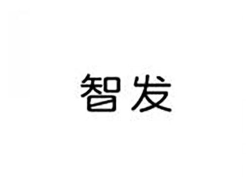 智发