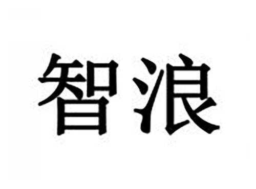 智浪