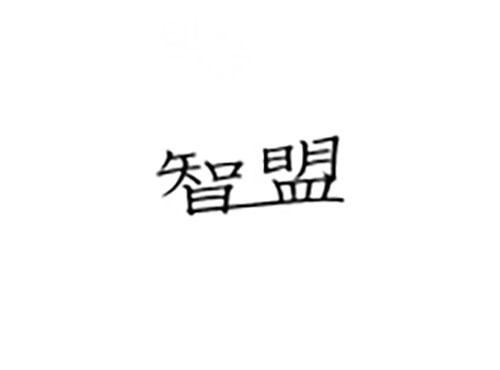 智盟
