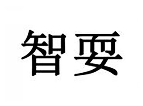 智耍