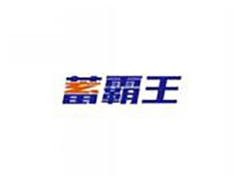 蓄霸王