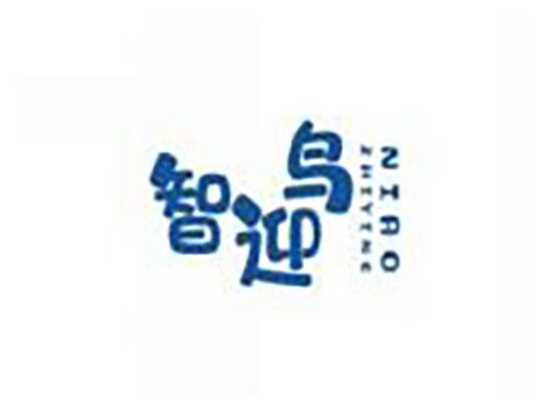 智迎鸟zhiyingniao